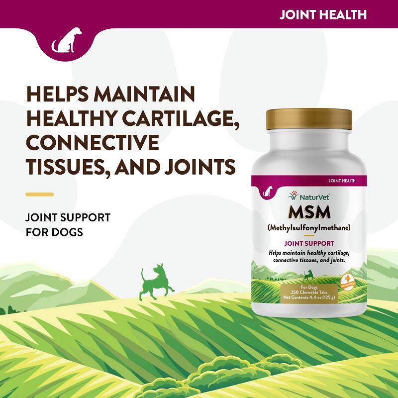 NaturVet MSM, 250 Tabs