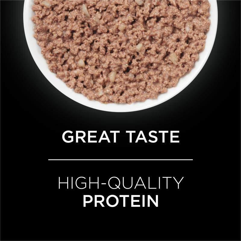 Purina Pro Plan Veterinary Diets UR St/Ox Urinary Formula Adult Cat Food, 24 x 5.5 oz cans