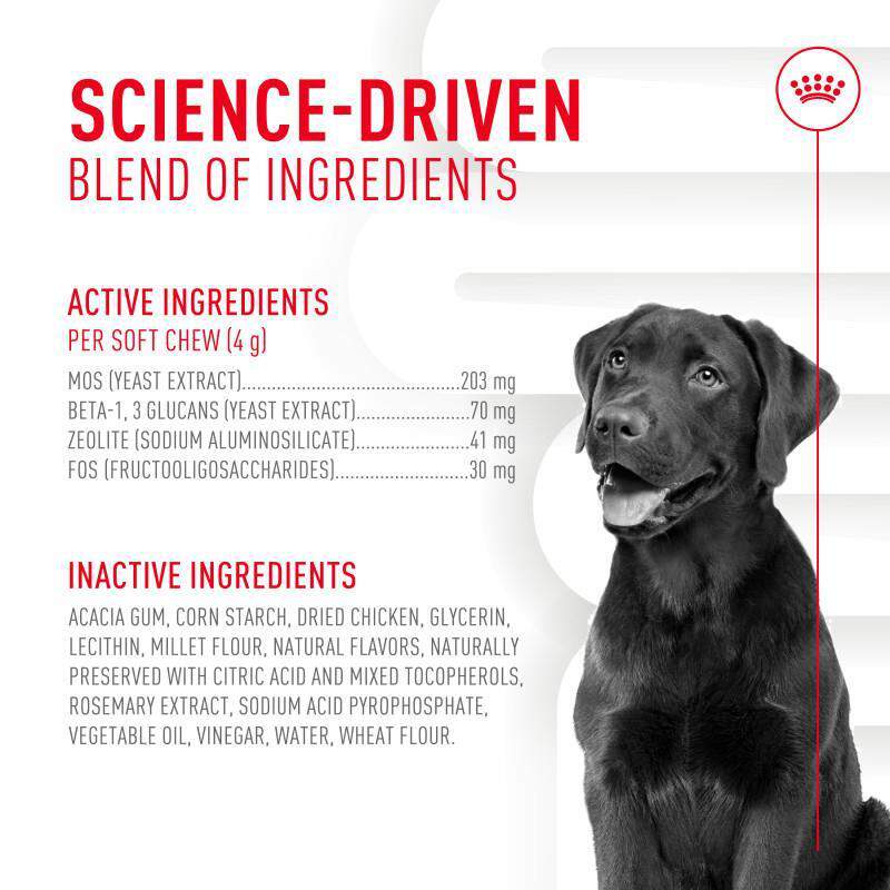 Royal Canin Adult Digestive Chewable Supplements for Dogs, 60 Soft Chews