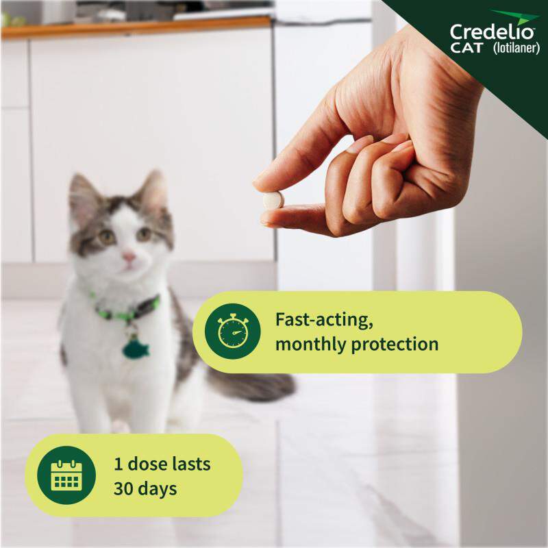 Credelio CAT Flea & Tick Chewable Tablets