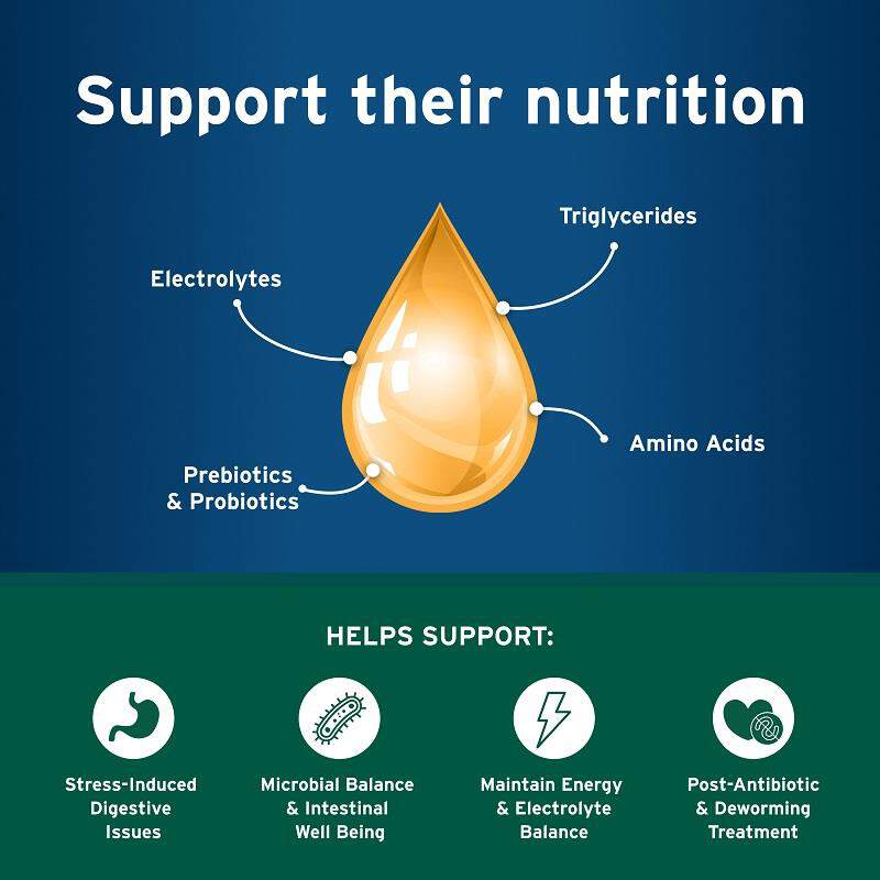 Pet Protect Probiotic Balance + Endurosyn Oral Gel for Cats, 15 g