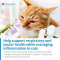 Veterinary Products Laboratories Duralactin Feline L-Lysine for Cats with Chronic Inflammatory and Musculoskeletal Conditions, 32.5 mL
