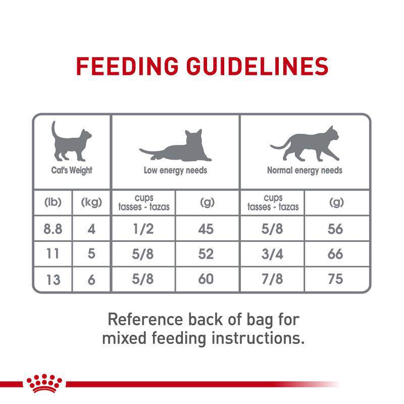 Royal Canin Feline Care Nutrition Adult Dental Care Dry Cat Food
