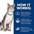 Hill's Prescription Diet k/d Kidney Care with Tuna Canned Cat Food, 24 x 5.5 oz cans