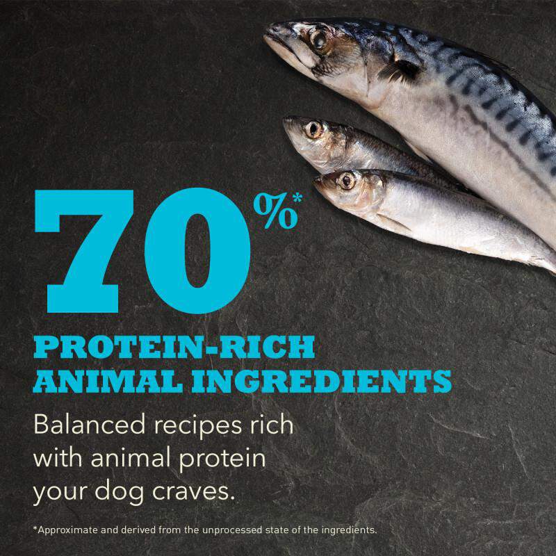 Acana Regionals Wild Atlantic Dry Dog Food, 25 lbs