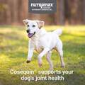 Cosequin Maximum Strength Plus MSM & HA for Dogs, 150 Chew Tabs