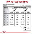 Royal Canin Veterinary Diet Adult Dental Small Dog Dry Dog Food, 8.8 lb bag
