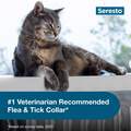 Seresto for Cats with Fleas and Ticks
