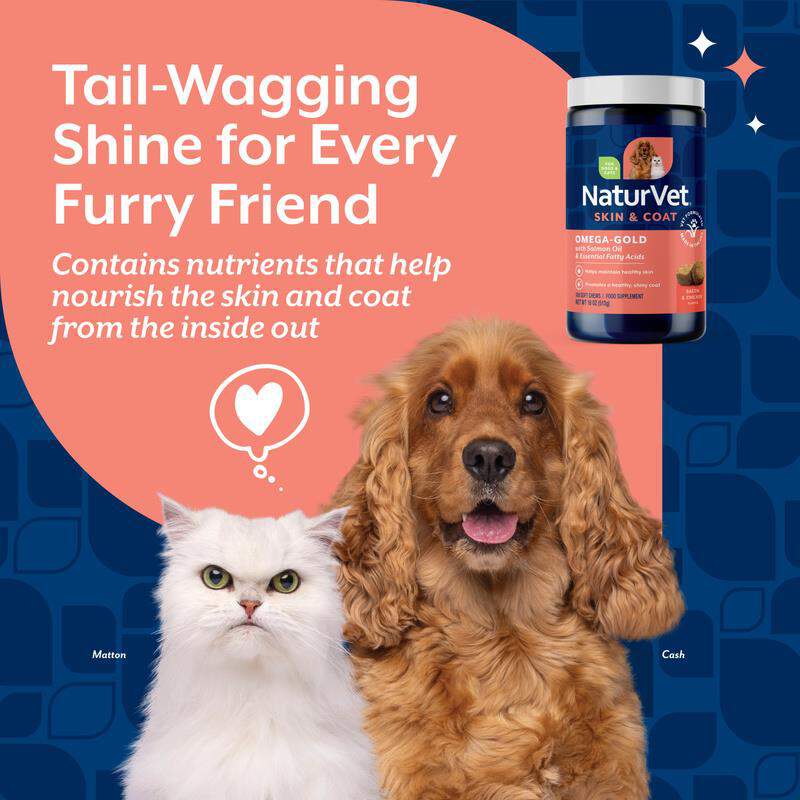 NaturVet Omega Gold Plus Salmon Oil Soft Chews, 180 Ct