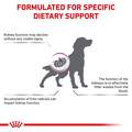 Royal Canin Veterinary Diet Adult Renal Support Early Consult Dry Dog Food