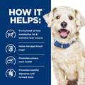 Hill's Prescription Diet w/d Multi-Benefit Digestive/Weight/Glucose/Urinary Management with Chicken Canned Dog Food, 12 x 13 oz cans