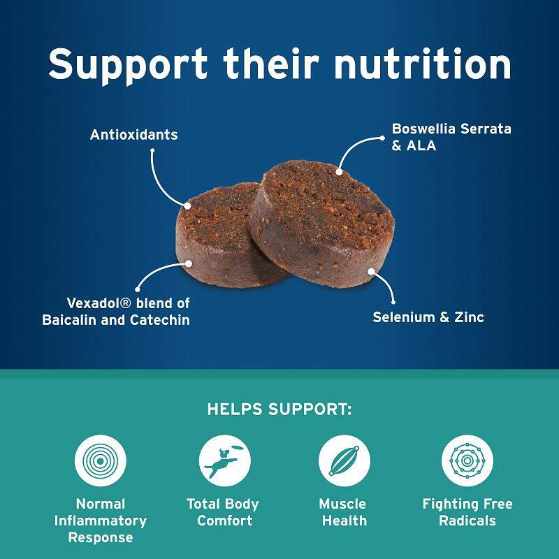 Pet Protect Body Comfort + Alenza Soft Chews for Dogs