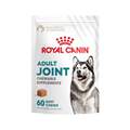 Royal Canin Adult Joint Chewable Supplements for Dogs, 60 Soft Chews