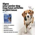 Senior Joint & Muscle Soft Chews for Dogs, 60 ct