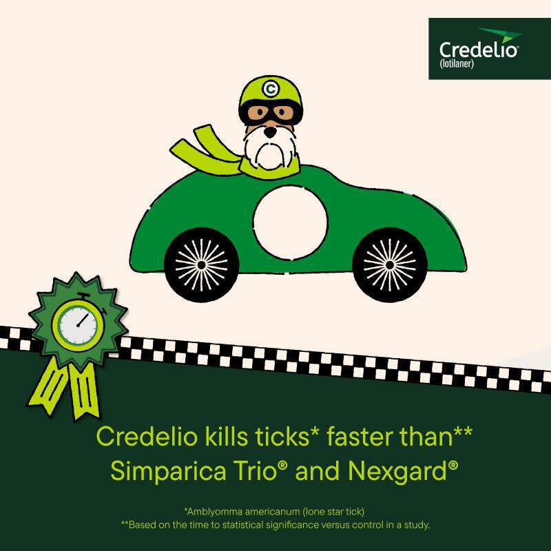 Credelio Flea & Tick Chewable Tablets for Dogs & Puppies