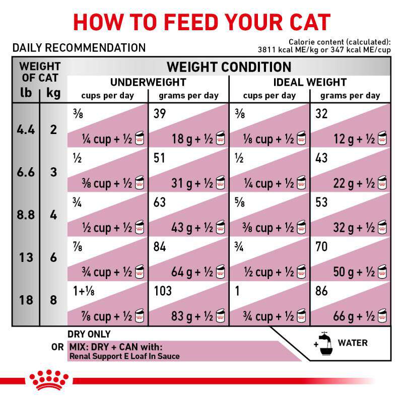 Royal Canin Veterinary Diet Adult Renal Support A Dry Cat Food