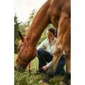 Zoetis Quest Plus Gel for Horses with Worms, 1 syringe, 0.05 ounces