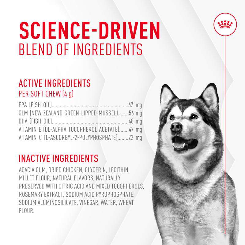 Royal Canin Adult Joint Chewable Supplements for Dogs, 60 Soft Chews