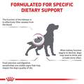 Royal Canin Veterinary Diet Adult Renal Support F Dry Dog Food