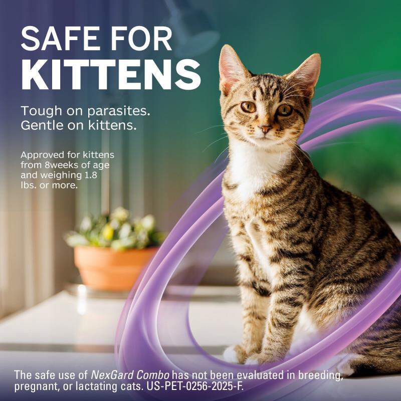 NexGard COMBO Topical for Cats and Kittens