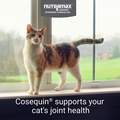Cosequin Soft Chews for Cats with Omega-3's, 60 ct