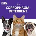 PRN Pharmacal CoproBan Soft Chews for Cats and Dogs, 40 Count
