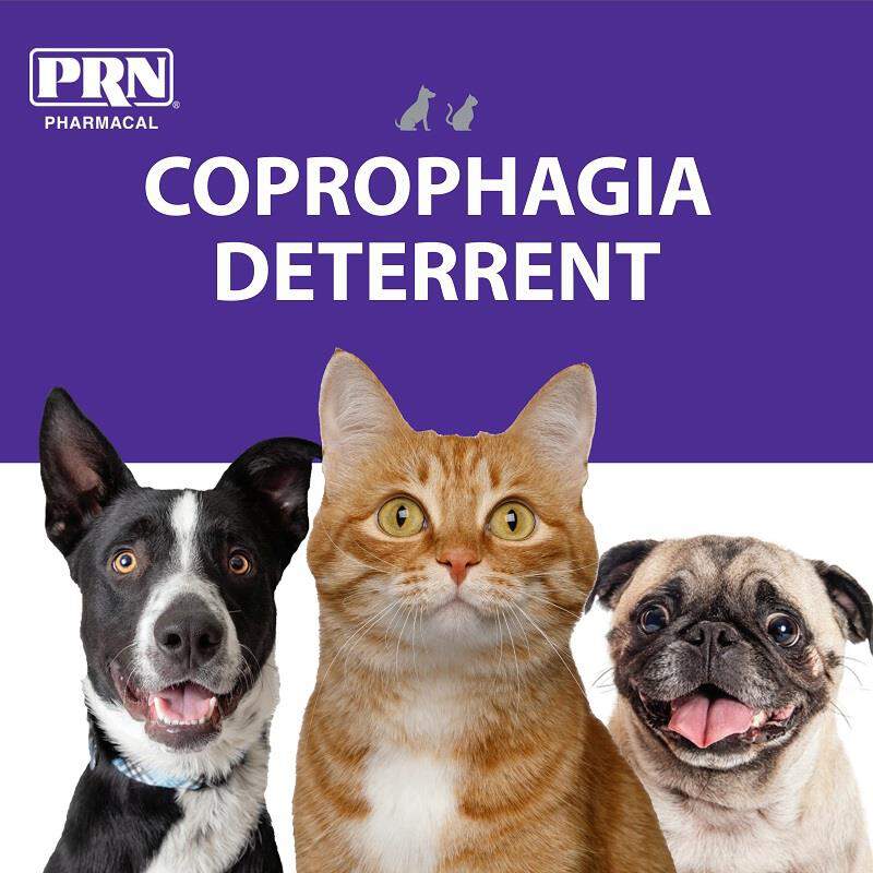 PRN Pharmacal CoproBan Soft Chews for Cats and Dogs, 40 Count