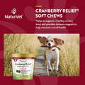 NaturVet Cranberry Relief Healthy Urinary Tract Plus Echinacea Soft Chews for Dogs