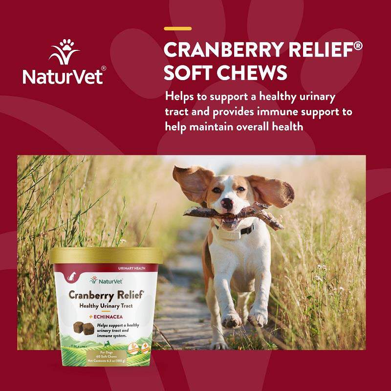 NaturVet Cranberry Relief Healthy Urinary Tract Plus Echinacea Soft Chews for Dogs