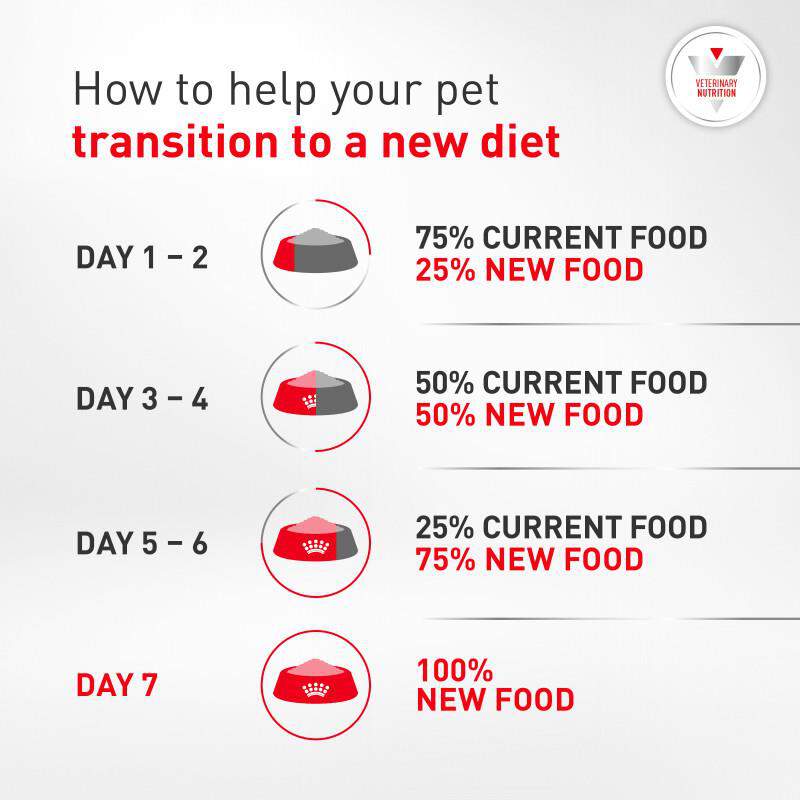 Royal Canin Veterinary Diet Adult Glycobalance Dry Dog Food