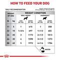 Royal Canin Veterinary Diet Hydrolyzed Protein Loaf Canned Dog Food, 13.7 oz cans