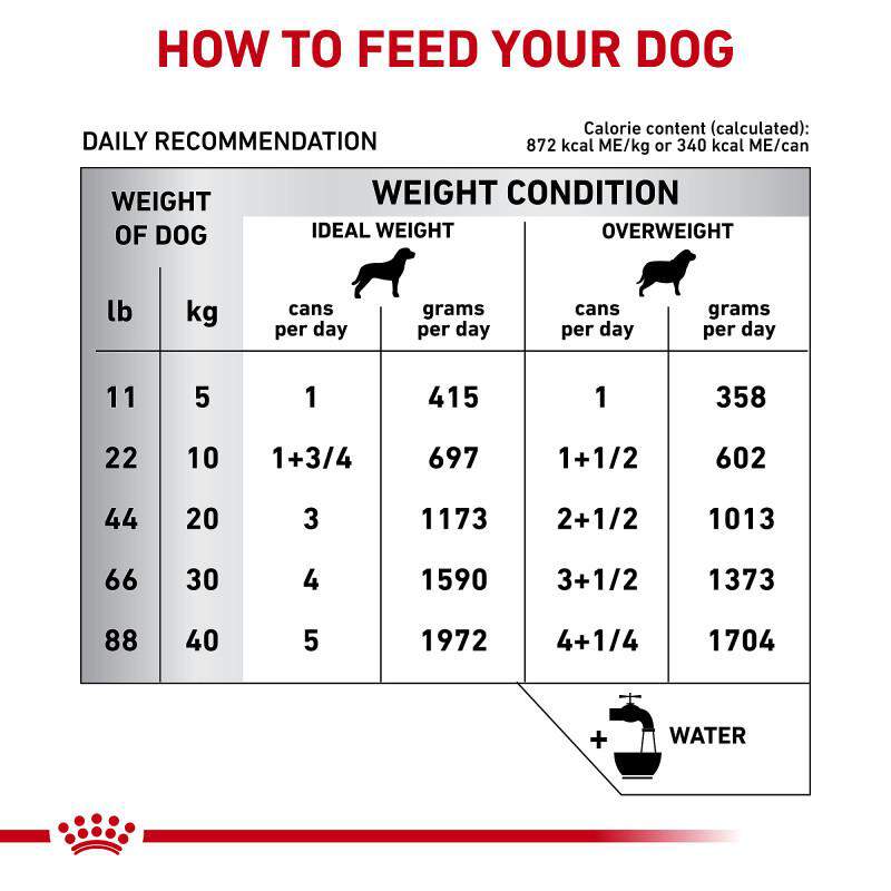 Royal Canin Veterinary Diet Hydrolyzed Protein Loaf Canned Dog Food, 13.7 oz cans