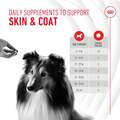 Royal Canin Adult Skin & Coat Chewable Supplements for Dogs, 60 Soft Chews