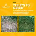 NaturVet Yellow To Green Lawn, 32 oz Spray
