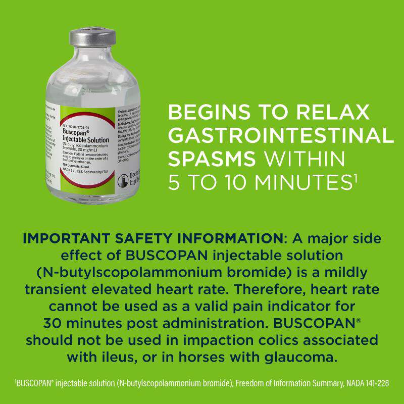 Buscopan Injectable Solution for Horses, 50 ml