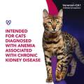 Varenzin-CA1 (Molidustat Oral Suspension), 27 ml