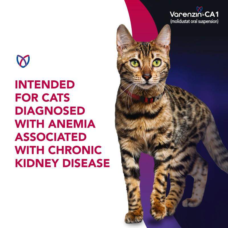 Varenzin-CA1 (Molidustat Oral Suspension), 27 ml