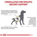 Royal Canin Veterinary Diet Adult Urinary SO Moderate Calorie Dry Dog Food