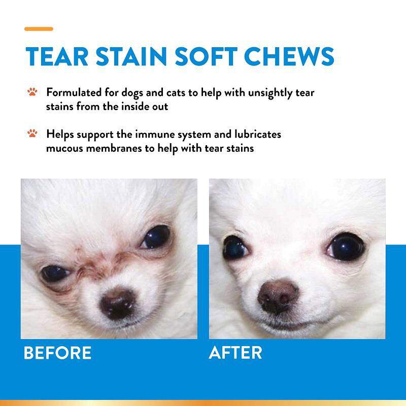 NaturVet Tear Stain Supplement Plus Lutein Soft Chews for Dogs and Cats