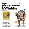 Urinary, Bladder & Kidney Soft Chews for Dogs, 60 ct