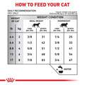 Royal Canin Veterinary Diet Adult Hydrolyzed Protein HP Dry Cat Food