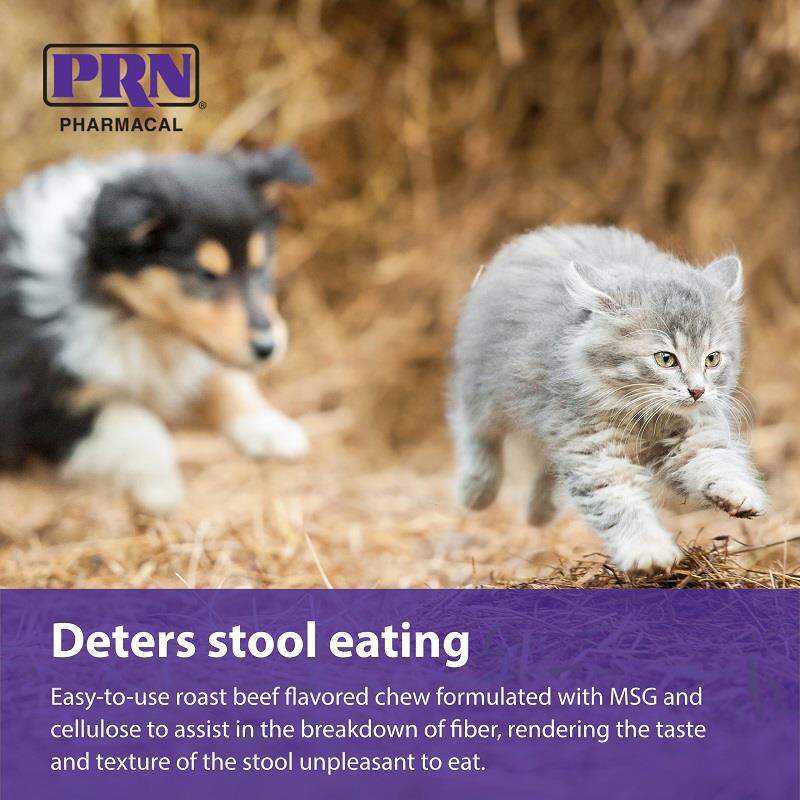 PRN Pharmacal CoproBan Soft Chews for Cats and Dogs, 40 Count