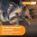 Advantage Multi Topical for Dogs