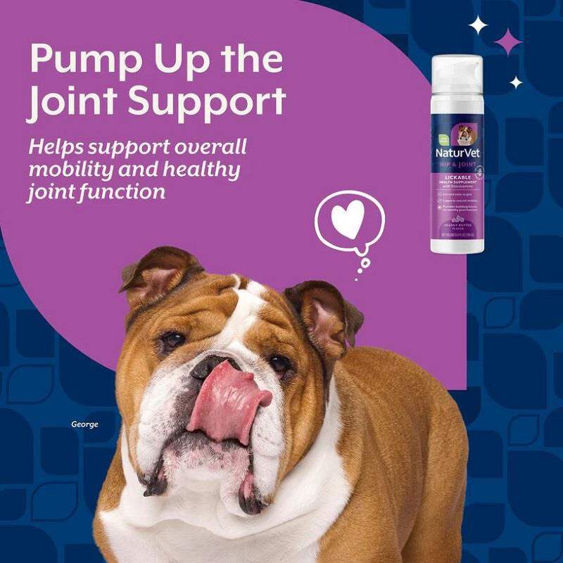 NaturVet Lickable Hip & Joint Health Supplement for Dogs, Peanut Butter Flavor, 6.4 fl oz