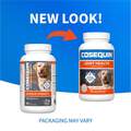 Nutramax Cosequin Maximum Strength Plus MSM and HA for Dogs, 75 Chew Tabs