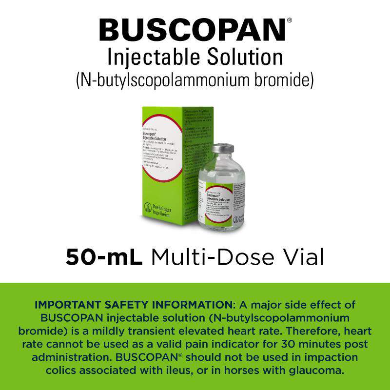 Buscopan Injectable Solution for Horses, 50 ml