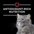 Purina Pro Plan Veterinary Diets DM Savory Selects Dietetic Management Formula Adult Cat Food, 24 x 5.5 oz cans