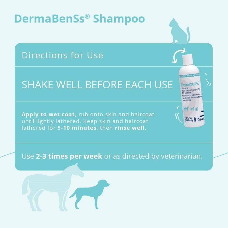 DermaBenSs Shampoo