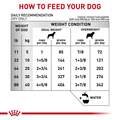 Royal Canin Veterinary Diet Adult Hydrolyzed Protein Moderate Calorie Dry Dog Food