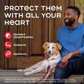 Heartgard Plus Chewables for Dogs